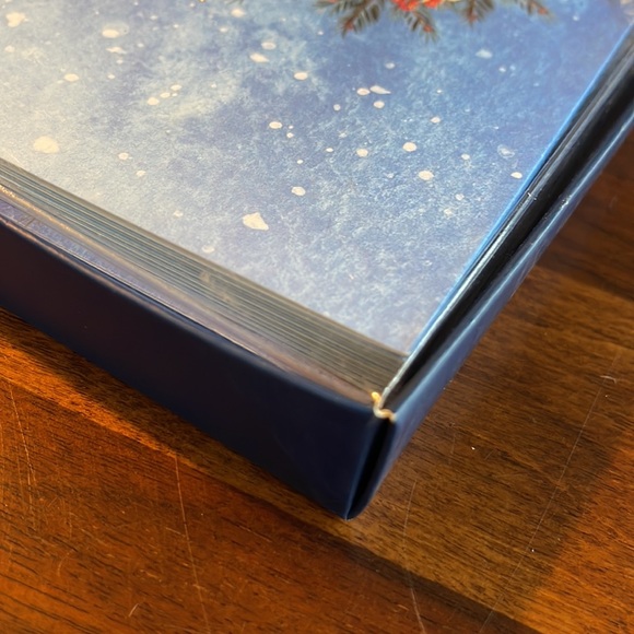 UNOPENED BOXED HOLIDAY CARDS - SET OF 15 CARDS & ENVELOPES "CHRISTMAS BLESSINGS" - Picture 8 of 8